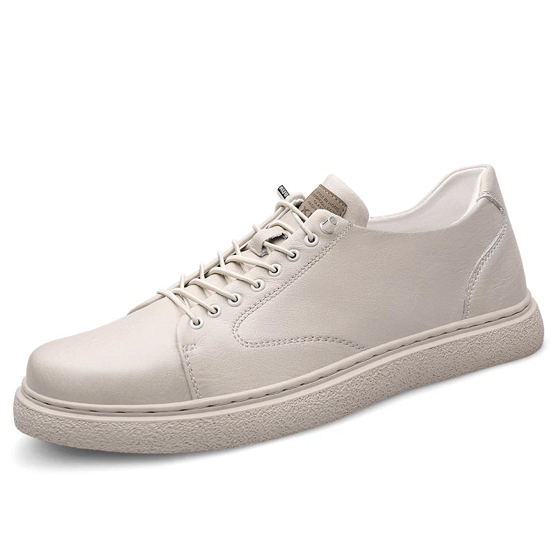 42667301404726|42667301470262|42667301503030|42667301535798|42667301568566|42667302092854|42667302125622|42667302158390|42667302191158